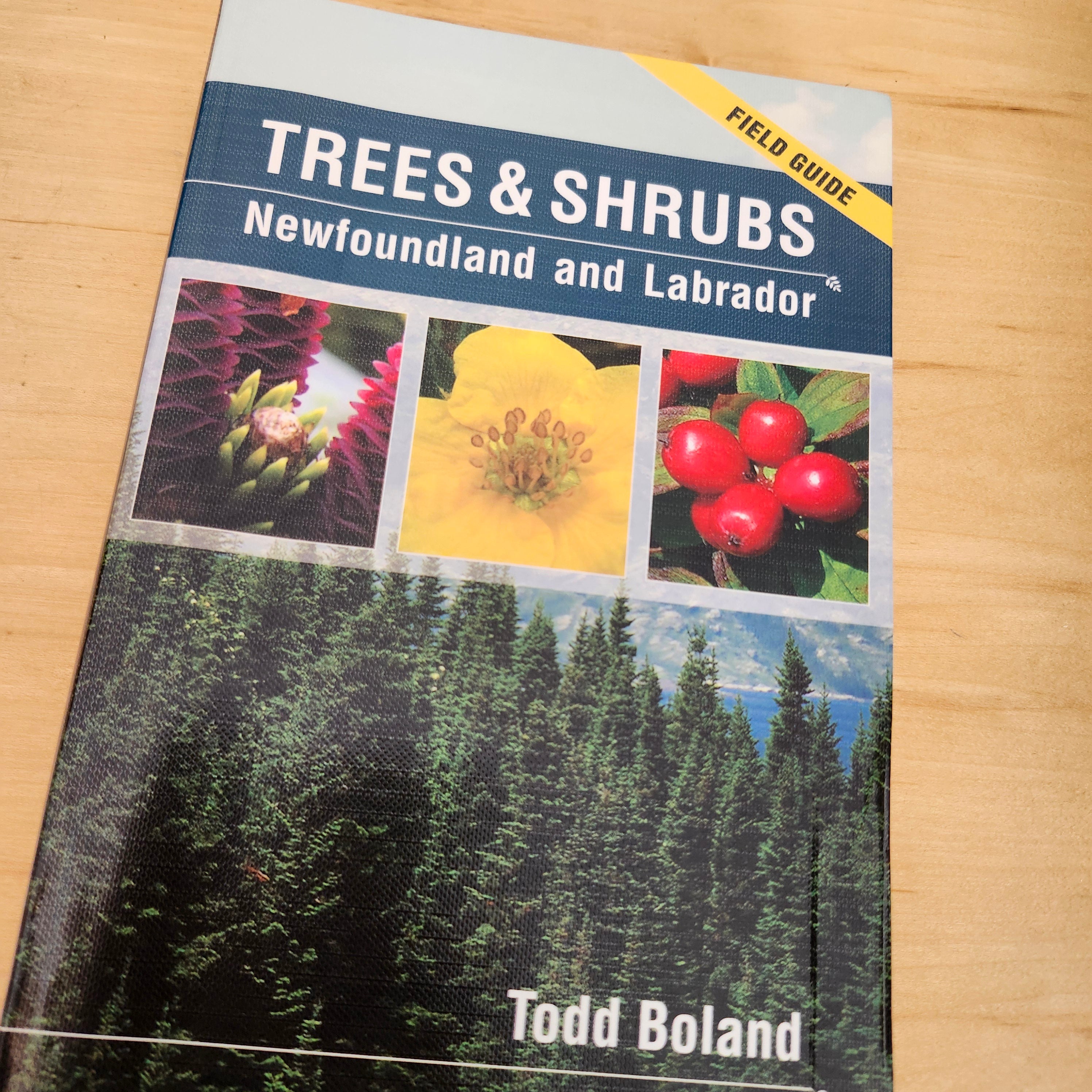 Trees & Shrubs of Newfoundland & Labrador | The Newfoundland Tea Company